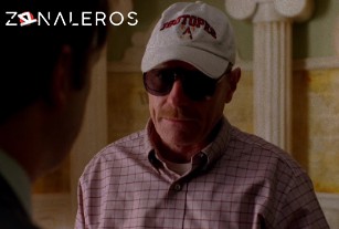 Ver Breaking Bad temporada 2 episodio 8
