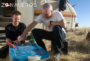 Ver Breaking Bad temporada 2 episodio 9