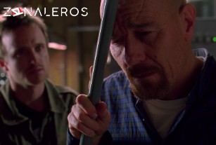 Ver Breaking Bad temporada 3 episodio 10