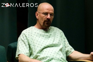 Ver Breaking Bad temporada 4 episodio 8