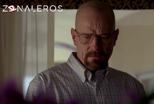 Ver Breaking Bad temporada 4 episodio 9