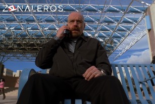 Ver Breaking Bad temporada 5 episodio 12