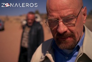 Ver Breaking Bad temporada 5 episodio 14