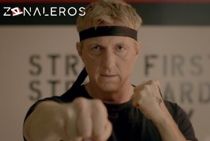 Ver Cobra Kai temporada 1 episodio 1