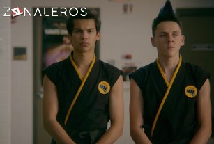 Ver Cobra Kai temporada 1 episodio 10