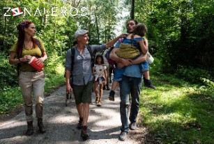 Ver El colapso temporada 1 episodio 4