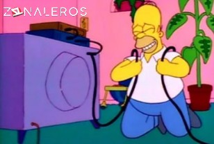 Ver Los Simpsons temporada 2 episodio 13