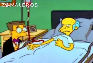 Ver Los Simpsons temporada 2 episodio 22