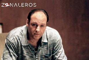 Ver Los Soprano temporada 1 episodio 11
