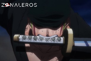 Ver One Piece temporada 1 episodio 1027