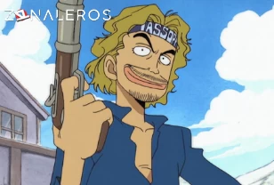 Ver One Piece temporada 1 episodio 9