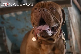 Ver Socios y Sabuesos temporada 1 episodio 12