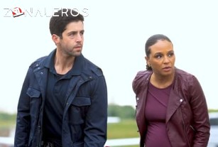 Ver Socios y Sabuesos temporada 1 episodio 3