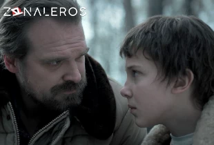 Ver Stranger Things temporada 2 episodio 3