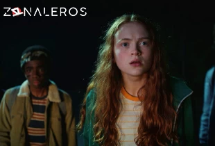 Ver Stranger Things temporada 2 episodio 8