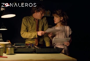 Ver Stranger Things temporada 3 episodio 3