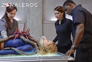 Ver Supergirl temporada 1 episodio 13