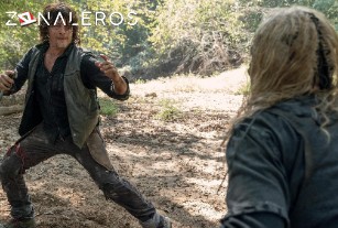 Ver The Walking Dead temporada 10 episodio 10