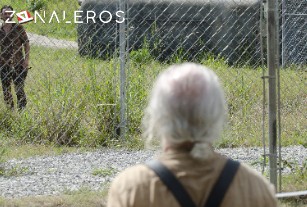 Ver The Walking Dead temporada 4 episodio 8