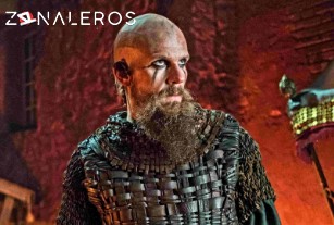Ver Vikingos temporada 4 episodio 16
