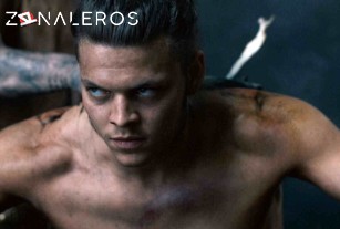 Ver Vikingos temporada 5 episodio 2