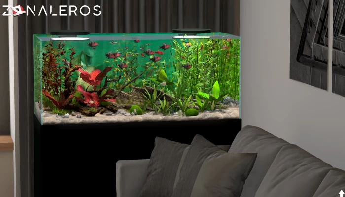 Behind Glass Aquarium Simulator por torrent