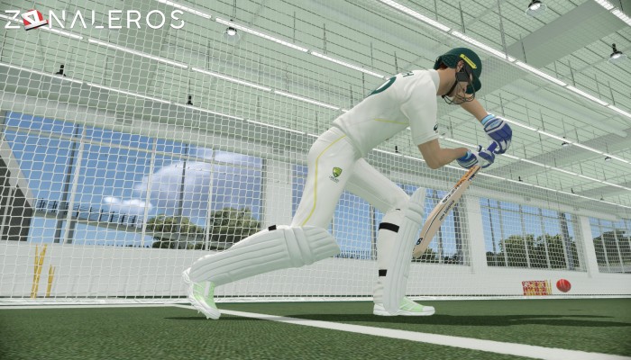 Cricket 22 por torrent