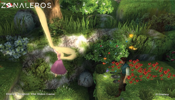 Disney Tangled: The Video Game gameplay