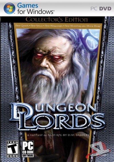 descargar Dungeon Lords Steam Edition