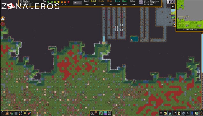 Dwarf Fortress por mega