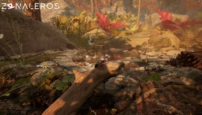 Empire of the Ants Deluxe Edition gameplay