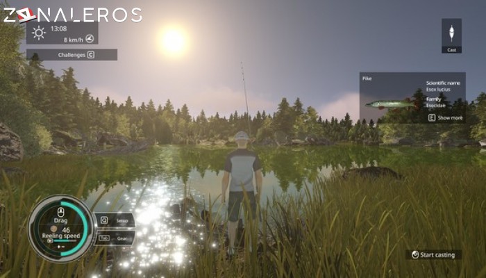 Pro Fishing Simulator por torrent