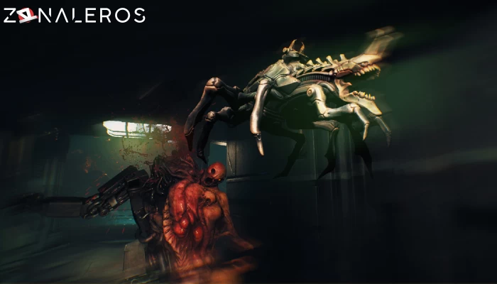 descargar RIPOUT
