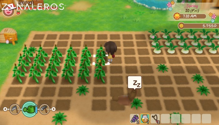 Story of Seasons Friends of Mineral Town por mega