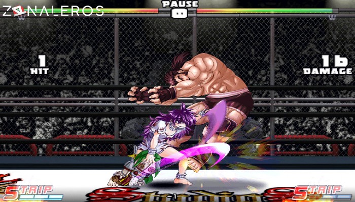 Strip Fighter 5: Chimpocon Edition gameplay