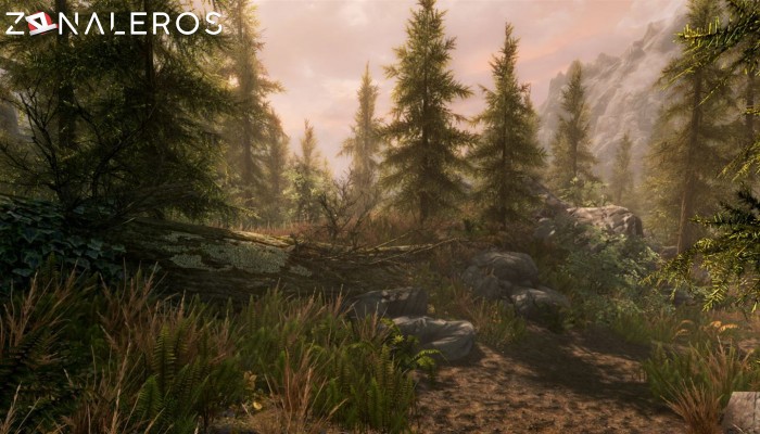 The Elder Scrolls V: Skyrim Special Edition gameplay