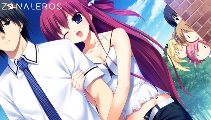 The Labyrinth of Grisaia por torrent