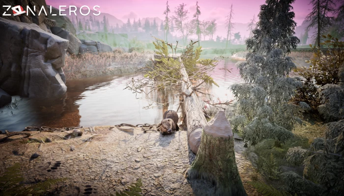 Winter Survival por torrent