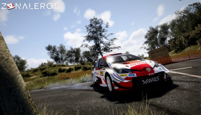 descargar WRC 10: FIA World Rally Championship Deluxe Edition