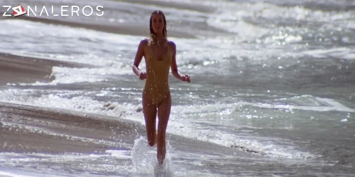 descargar 10: la mujer perfecta