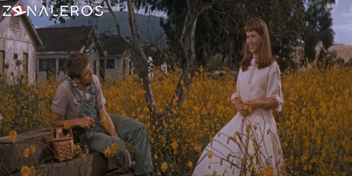 descargar Al este del paraíso