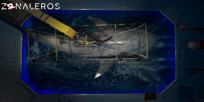 descargar Alerta en lo profundo 2