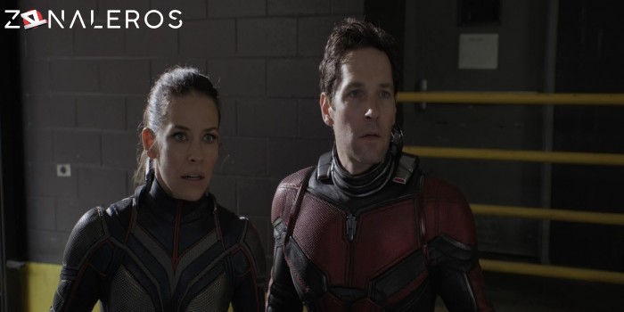 Ant-Man and the Wasp gratis