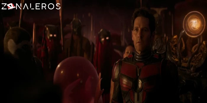 Ant-Man and the Wasp: Quantumania gratis