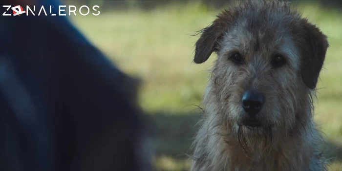 Arthur: Una amistad sin límites gratis