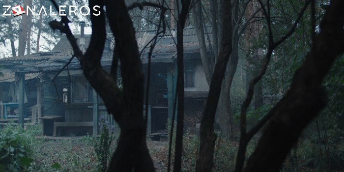 bajar Baba Yaga: Terror en el bosque oscuro