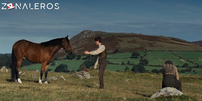 bajar Caballo de guerra