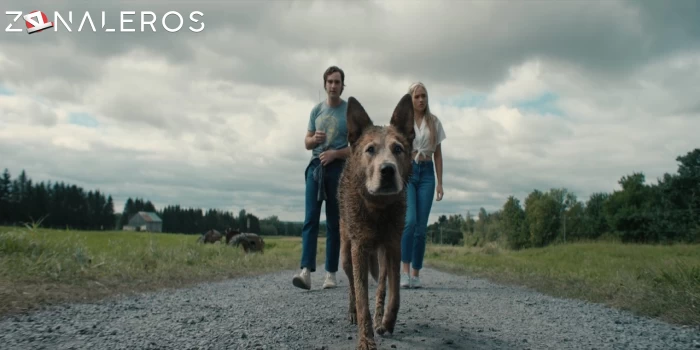 descargar Cementerio de animales: El origen