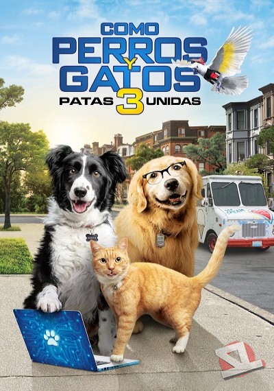 ver Como perros y gatos 3: ¡Patas unidas!