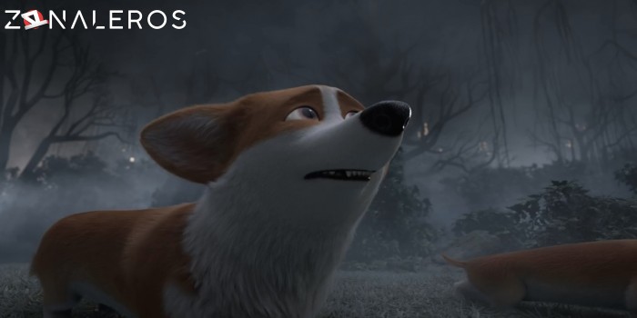 descargar Corgi: Un perro real